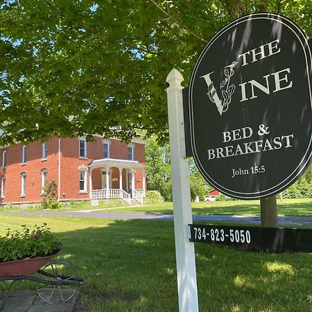 The Vine Bed & Breakfast, Llc Dundee Exterior photo